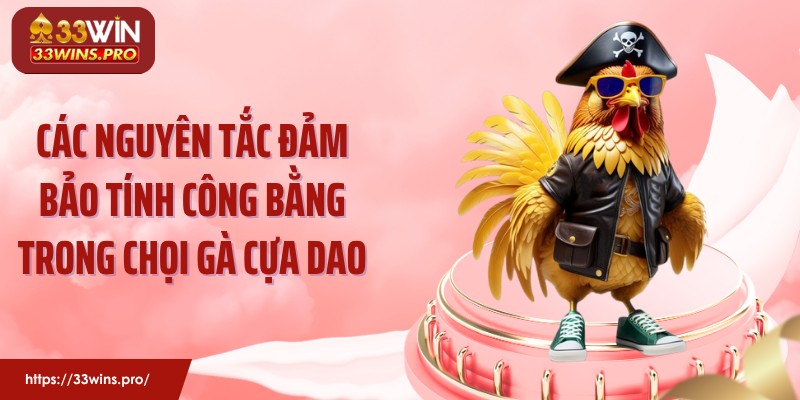 Các nguyên tắc đảm bảo tính công bằng trong chọi gà cựa dao