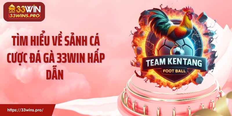 Tìm hiểu về sảnh cá cược đá gà 33Win hấp dẫn